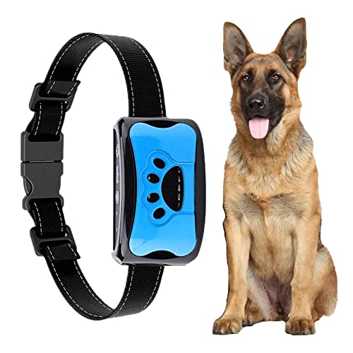 Upgraded Hundehalsband, sichere Nylon Hundehalsband, rutschfest verschleißfest Geeignet für alle Größen von großen und kleinen Hunden (5W) von Generic