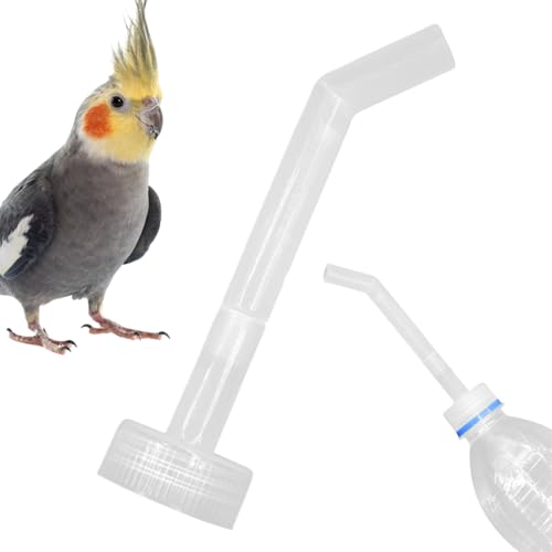 Vogel-Wasserflaschen-Futtermittel | Vogelberegler In Wasserflasche, Injektor-Futteranbieter, Käfigzubehör Für Füllwerkzeuge, Ani-Zubehör Vogel-Wasserflaschen-Futtermittel | Vogelberegler In Wasserflasche, Injektor-Futteranbieter, Käfigzubehör Für Füllwerkzeuge, Ani-Zubehör von Generic