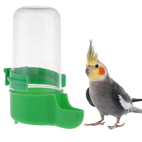 Vogel-Wasserspender - 200ml Vogeltränke - Selbstversorgung - Vogelbrunnen lässt Sich leicht - Käfig - Sittiche, Kanarienvögel oder ähnliche kleine Vögel befestigen oder Futter im Trog fertig i von Generic