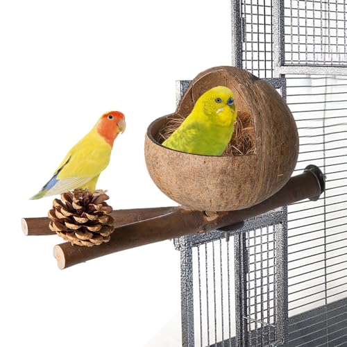 Vogelhaus Kokosnuss - Vogelkäfig in Kokosnussform | Nest House Hutkäfig, Wellensittichkäfig mit geriebener Kokosnuss, Wellensittich, Liebesvögel, Vogelhaus Vogelhaus Kokosnuss - Vogelkäfig in Kokosnussform | Nest House Hutkäfig, Wellensittichkäfig mit geriebener Kokosnuss, Wellensittich, Liebesvögel, Vogelhaus von Generic