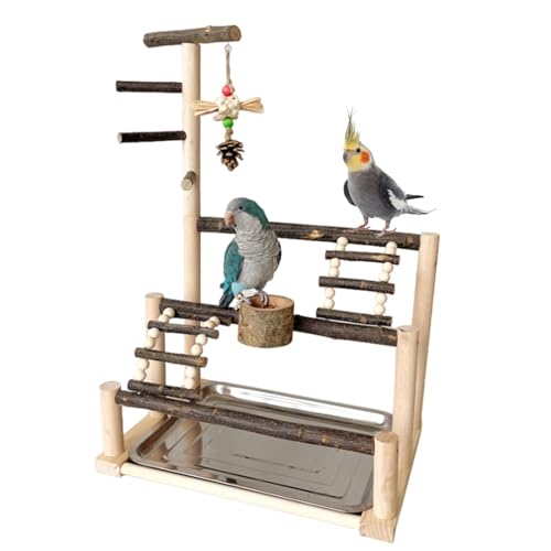 Vogelspielständer,Vogelspielplatz | Sittich-Spielplatz-Sitzstange für Vögel - Natürliches Vogelkäfig-Übungsspielzeug, Papageienständer-Spielplatz mit Futterbechern für Sittiche, Turteltauben von Generic