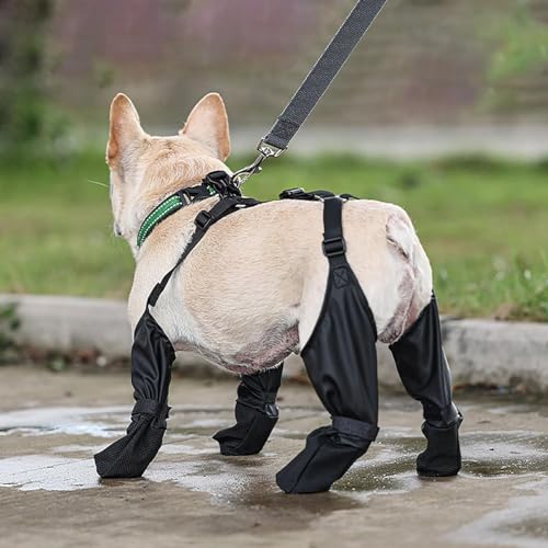 Wasserdicht Hundeschuhe für mittelgroße bis große Hunde, Hundestiefel, Hosenträgerstiefel, Dog Suspender Booties, Hundestiefel mit Hosenträgern, Hundestiefel-Leggings, Verstellbare (Black, S) von Generic