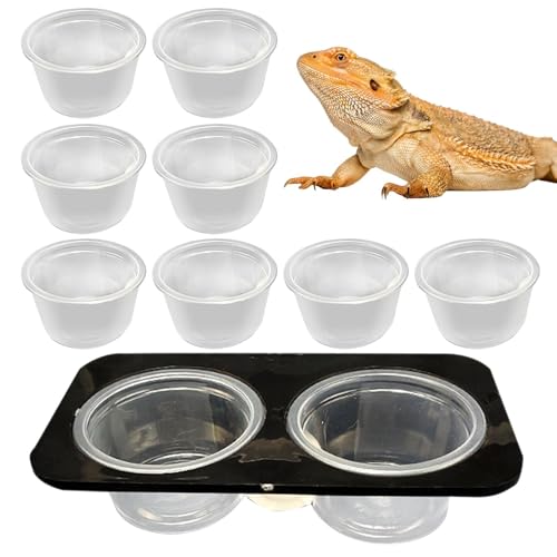 Wasserschale für Reptilienbehälter, Echsenwasserschale,Crested Water Bowl Reptile Food Feeder | Abnehmbare Fütterungsgericht mit Tassen Platz sparter Tankzubehör für Schildkröte & Box von Generic