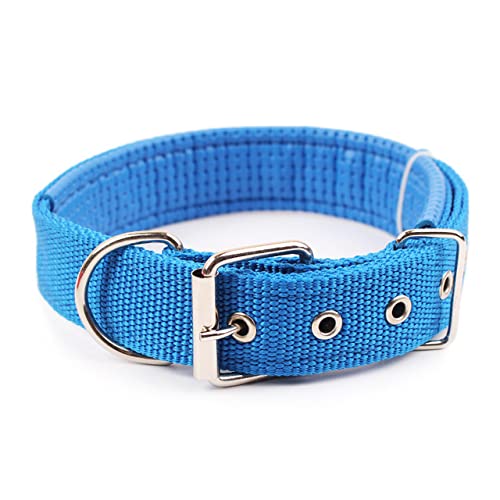 Welpe Neckwear Hundehalsband Hundehalsbänder Nylon Hundehalsband Für Kleine Mittlere Große Hunde Teddy Keji Pitbull Bulldogge Beagle/Blau/S von Generic