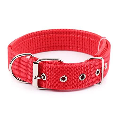 Welpe Neckwear Hundehalsband Hundehalsbänder Nylon Hundehalsband Für Kleine Mittlere Große Hunde Teddy Keji Pitbull Bulldogge Beagle/Rot/L von Generic