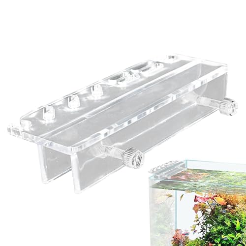 Werkzeughalter für Aquarium, Werkzeughalter für Aquarium, Werkzeugregal für Aquarienzubehör, Acrylaufbewahrungshalter für Reinigungswerkzeuge D Werkzeughalter für Aquarium, Werkzeughalter für Aquarium, Werkzeugregal für Aquarienzubehör, Acrylaufbewahrungshalter für Reinigungswerkzeuge D von Generic