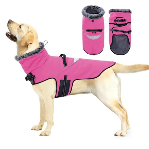 Winter-Hundekleidung, Baumwollkleidung, große Hunde, mittelgroße große Hunde, Winddicht, verdickt warm, Heimtierbedarf Zughunde Leine (XL) von Generic