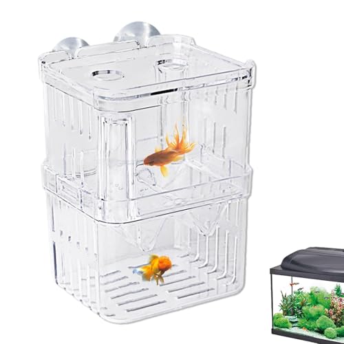 Zuchtbox für Aquarium | Acryl-Brüterei-Inkubatortank-Fischtank-Trennwand, Acryl-Brüterei-Inkubatortank-Baby-Aquarium für Jungfische, Garnelen, Clownfische und Guppys von Generic