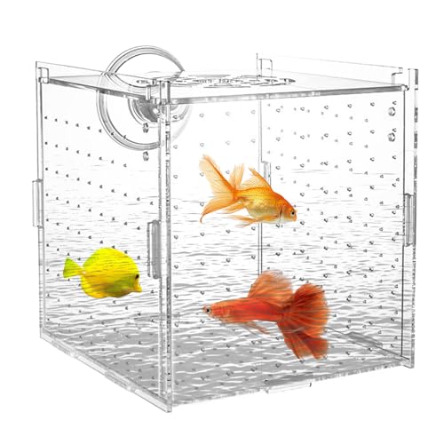 Zuchtbox für Aquarium | Transparente Brutbox für Aquarium,Stabile Zuchtbox Mit Trennwand Für Eier Jungfische Guppys Skalare Antennenwelse Zuchtbox für Aquarium | Transparente Brutbox für Aquarium,Stabile Zuchtbox Mit Trennwand Für Eier Jungfische Guppys Skalare Antennenwelse von Generic