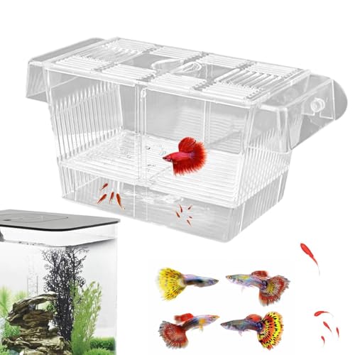 Züchterbox für Aquarien, Brutkästen mit Trennwand für Züchter aus transparentem Acryl | Aquariumzuchtbox, Akklimatisierungsbox für Fische, Frühbeet für Inkubator Züchterbox für Aquarien, Brutkästen mit Trennwand für Züchter aus transparentem Acryl | Aquariumzuchtbox, Akklimatisierungsbox für Fische, Frühbeet für Inkubator von Generic