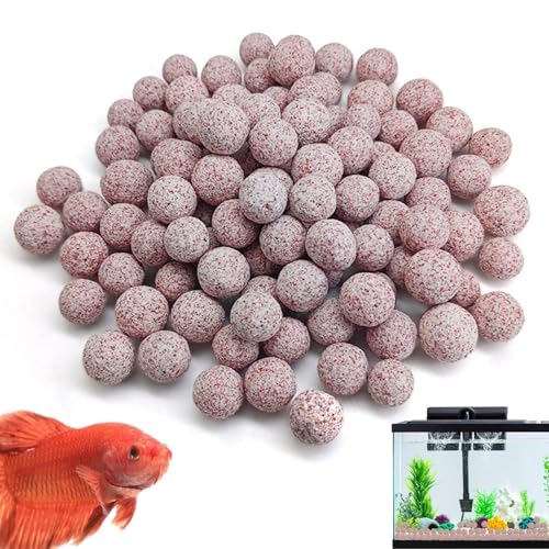 Biologische Keramikkugeln für Aquarien – 500 g natürlicher Medienfilter, Wasserfilterkugeln für Korbfilter | Biologische Unterstützung für die Filtration von Frisch- und Meerwasseraquarien Biologische Keramikkugeln für Aquarien – 500 g natürlicher Medienfilter, Wasserfilterkugeln für Korbfilter | Biologische Unterstützung für die Filtration von Frisch- und Meerwasseraquarien von Genérico