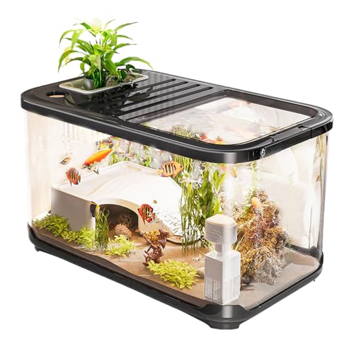 Fischaquarium – Aquarium-Set mit Leitern | Starter-Set für Fischtank mit Belüftungslöchern | Wasserlebensraum mit Salzwasser und Süßwasser, Pflanzendekoration Fischaquarium – Aquarium-Set mit Leitern | Starter-Set für Fischtank mit Belüftungslöchern | Wasserlebensraum mit Salzwasser und Süßwasser, Pflanzendekoration von Genérico