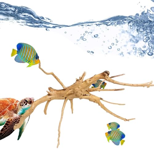 Genérico Aquarienpflanzen – Pflanze aus natürlichem Baumstamm | Baumstamm zur Dekoration von Baumwurzeln aus Holz für Tank, Zweige aus Massivholz für Reptilien, Dekoration Genérico Aquarienpflanzen – Pflanze aus natürlichem Baumstamm | Baumstamm zur Dekoration von Baumwurzeln aus Holz für Tank, Zweige aus Massivholz für Reptilien, Dekoration von Genérico