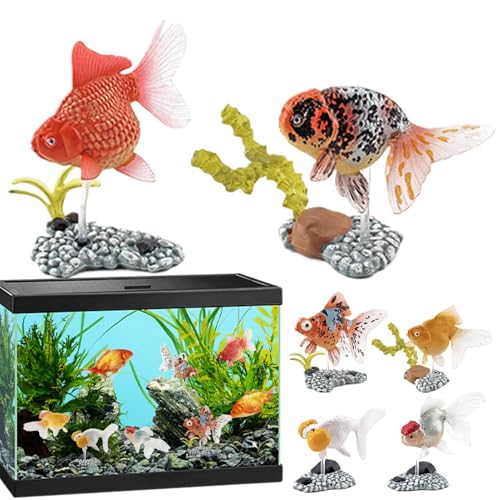 Genérico Dekoration für Aquarium, dekorative Statuen mit 6 künstlichen Schwimmfischen, realistische Unterwassertiere mit dekorativer Basis für Regale, Schlafzimmer und Wohnzimmer Genérico Dekoration für Aquarium, dekorative Statuen mit 6 künstlichen Schwimmfischen, realistische Unterwassertiere mit dekorativer Basis für Regale, Schlafzimmer und Wohnzimmer von Genérico