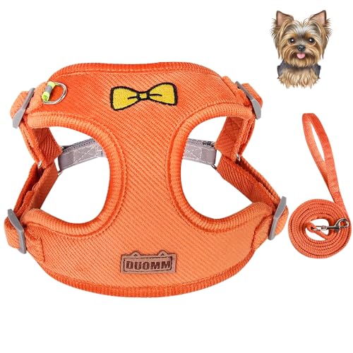 Geschirr + Leine mit Karabinerhaken für Hunde und Katzen, weich, aus Samt, geeignet für kleine und mittelgroße Größen, reflektierendes Oberteil (Größe M Orange) von Generico