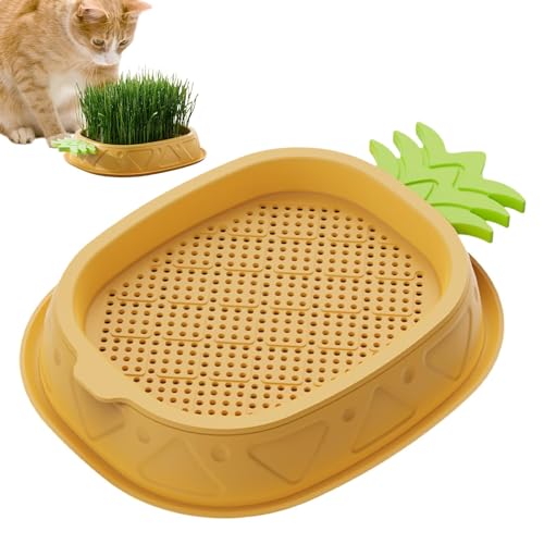 Gras-Blumentopf für Katzen, Gras-Blumentopf für Katzen im Innenbereich, Blumentopf für Katzengras, Pflanzentablett mit Ananas-Design, Ananas-Blumentopf von Genérico