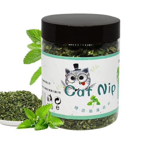 Katzenstreu, Katzenminzpflanze, Treat for Cats & Kittens | Interaktiver Fänger für beruhigende Unterhaltung für Kätzchenpflanzen mit bedecktem Futterset Katzenstreu, Katzenminzpflanze, Treat for Cats & Kittens | Interaktiver Fänger für beruhigende Unterhaltung für Kätzchenpflanzen mit bedecktem Futterset von Genérico