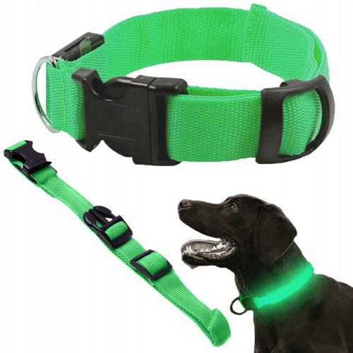 Leuchtendes LED-Halsband für Hunde, verstellbare Länge, Sicherheitshalsband und Sichtbarkeit, 3 Lichtmodi, komfortable breite Ausführung, Größe BW 36-53 cm, Grün von Genérico