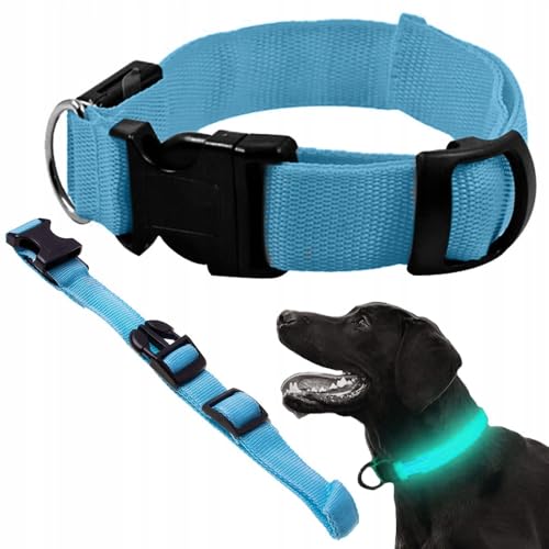 Leuchtendes LED-Halsband für Hunde, verstellbare Länge, Sicherheitshalsband und Sichtbarkeit, 3 Lichtmodi, komfortable breite Ausführung, Größe BW 36-53 cm (blau) von Genérico