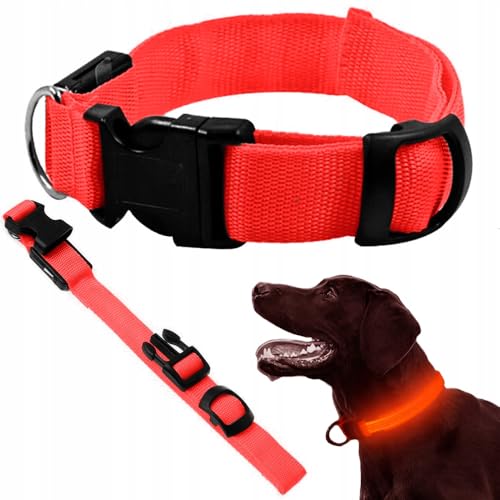 Leuchtendes LED-Halsband für Hunde, verstellbare Länge, Sicherheitshalsband und Sichtbarkeit, 3 Lichtmodi, komfortable breite Ausführung, Größe BW 36-53 cm (rot) von Genérico