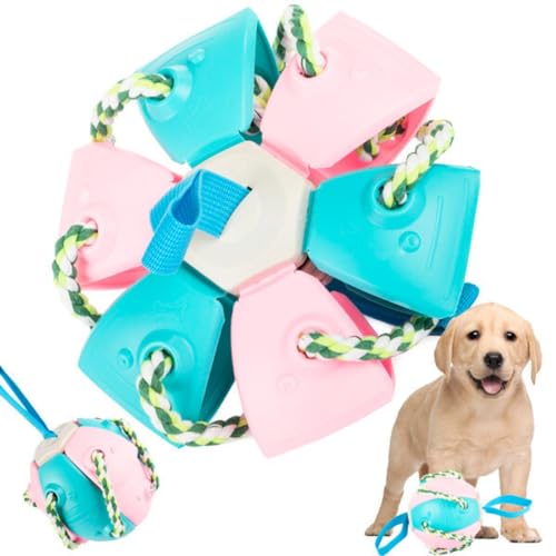 Magischer Ball Frisbee Fliegende Untertasse, Hunde Katzen Haustiere Kinder, Ball Ball Toy, Magic UFO Ball, Spielzeug Garten Welpen Kind offen, zufällige Farbe (Flugscheibe) von Generico