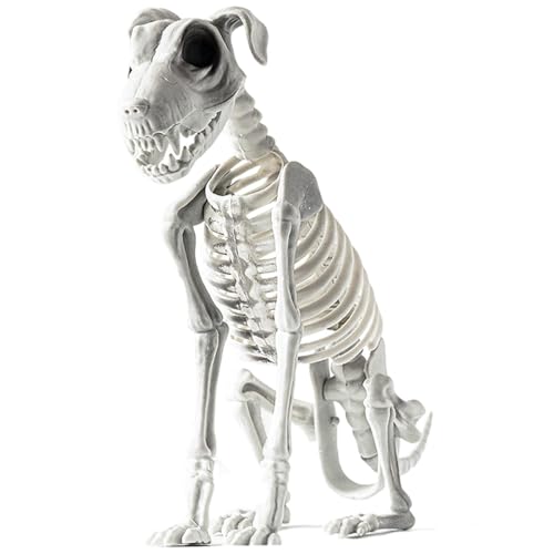 Puppy Skeleton Skulptur – Realistische Halloween-Skelett-Hundestatue | Halloween Skelett-Hundeornament | Spooky Skelett-Tiere mit schrumpfenden Zähnen | Spooky Tierdekoration für Party Haunted House von Genérico