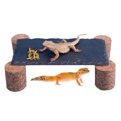 Solarstein für Reptilien, Solarbadestein mit Korkständer, natürlicher, skalierbarer Lebensraum, feuchtigkeitsbeständig, für Aquarien und Terrarien Solarstein für Reptilien, Solarbadestein mit Korkständer, natürlicher, skalierbarer Lebensraum, feuchtigkeitsbeständig, für Aquarien und Terrarien von Genérico