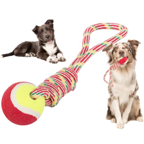 Spiel Hunde Ball mit strapazierfähigem Seil, geeignet für mittelgroße Hunde, kleine Beißen, Training, Reinigung von Zähnen, Spiel Hund Hund Welpen, (Seil Ball 34 cm) von Generico