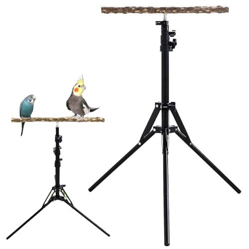 Verstellbarer -Kleiderbügel, verstellbare Halterung für Vögel, Trainingsbügel für Vögel, höhenverstellbar von 39,5 cm bis 155,81 cm, Spielzeug aus Naturholz für , So Verstellbarer -Kleiderbügel, verstellbare Halterung für Vögel, Trainingsbügel für Vögel, höhenverstellbar von 39,5 cm bis 155,81 cm, Spielzeug aus Naturholz für , So von Genérico