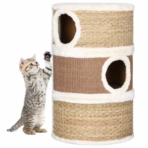 Wenjingqi-170976 Kratztonne für Katzen, Meergras, 60 cm von Genérico