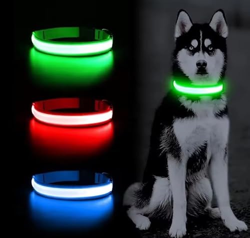 Wiederaufladbares USB-LED-Hundehalsband, geeignet für den Innen- und Außenbereich (rot, L) von Genérico