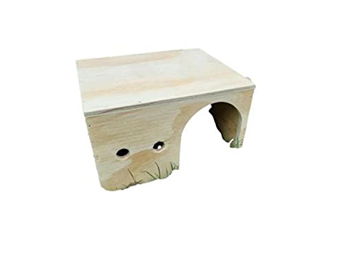 Spielhaus für Meerschweinchen, Mäuse, Ratten, Nagetiere, Versteck für Kleintiere, 15,2 x 25,4 x 20,3 cm, Grün von Generiq