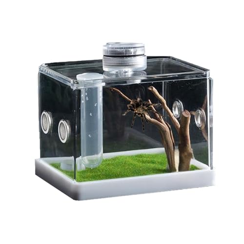 Acryl Jumping Spider Enclosure with LED Light, Secure Habitat for Spiders, Tarantulas, & Small Reptilien, Ventilated Terrarium, Perfect for Pets, Breeding & Display von Générique