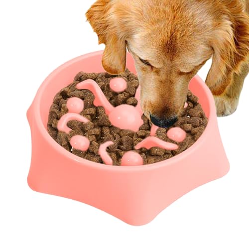 Anti-Gulping Dog Bowl, rutschfestes Puzzle, Haustier-Feeding, interaktive Bloat Stop Dog Bowl, Fun Slow Eating Bowl für alle Brötchen, fördert gesunde Verdauung für Hunde und Katzen mit 20,9 x 4,97 cm von Générique