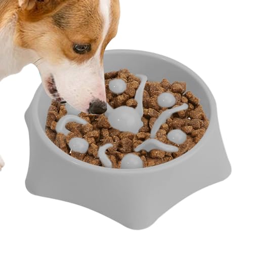 Anti-Gulping Dog Bowl, rutschfestes Puzzle, Haustier-Feeding, interaktive Bloat Stop Dog Bowl, Fun Slow Eating Bowl für alle Brötchen, fördert gesunde Verdauung für Hunde und Katzen mit 20,9 x 4,97 cm von Générique