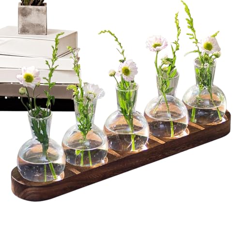 Anzuchtstation für Pflanzen | Vintage Hydrokultur-Vasen für Innenräume | Blumenkasten mit Holzplatte | Terrarium aus Glas für Büropflanzen, Dekoration zu Hause von Générique