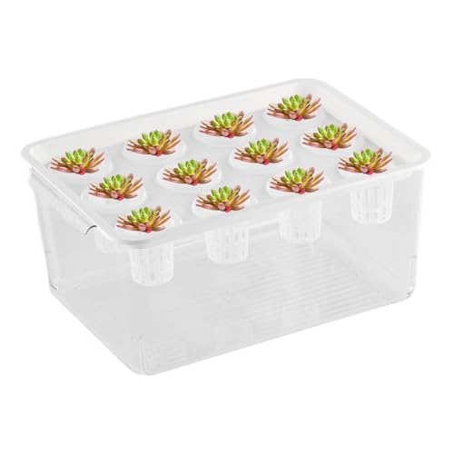 Aquaponic Planter und Aquarium, Pflanzenpflanzen, 35 x 25 x 13 cm für den Innenbereich, Aquarium, Fischtank, gesunde Hydroponik, Umwelt für Tischdekoration, Weiß/Grün/Gelb von Générique