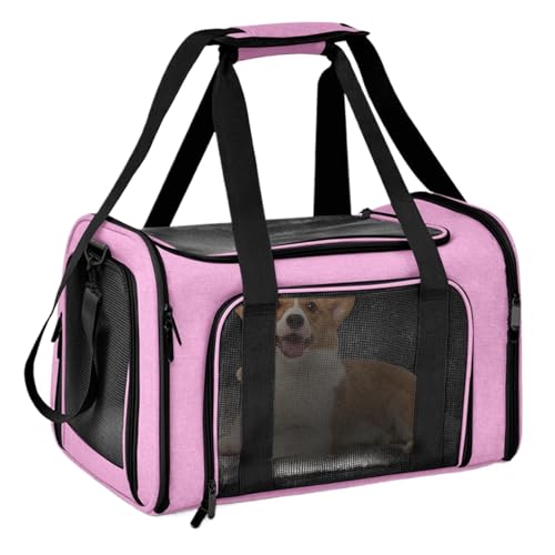 🚗 Atmungsaktiver Katzenkoffer, tragbare Haustiertasche, kleine Transporttasche für Katzen und Hunde, 40 x 25 x 25 cm, reisefreundlich, komfortables Design, Schwarz, für Reisen, Camping, bequemes von Générique