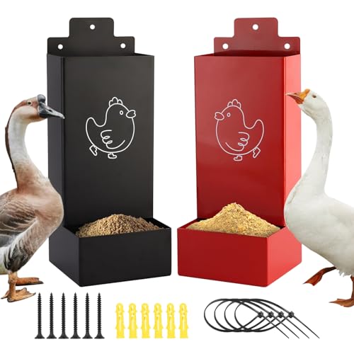 Austernschalenspender für Hühner | 2 Stück Spender für Kies – Futterstation Zubehör Hühnerstall für Hühner, Geflügel, Innen- und Außenbereich, Garten, Weide, kleine Bauernhöfe Austernschalenspender für Hühner | 2 Stück Spender für Kies – Futterstation Zubehör Hühnerstall für Hühner, Geflügel, Innen- und Außenbereich, Garten, Weide, kleine Bauernhöfe von Générique