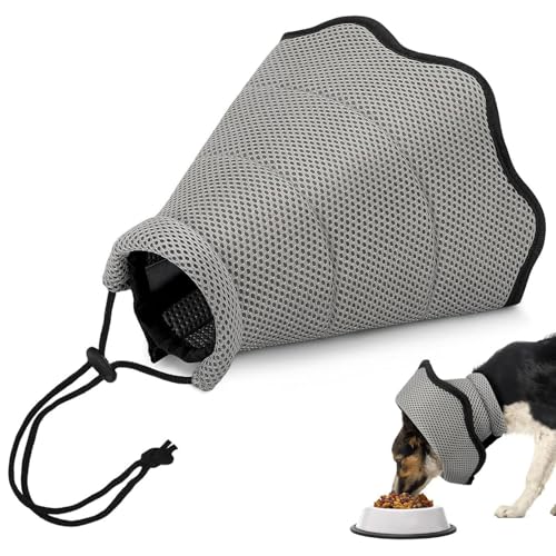 Bequemes Halswirbelhalsband für Hunde – medizinisches Halsband verstellbar, gegen Ausfallen, Beißschutz | Zubehör zur Wundversorgung von Haustieren | für Wohnung Haus Erholung Sicherheit Bequemes Halswirbelhalsband für Hunde – medizinisches Halsband verstellbar, gegen Ausfallen, Beißschutz | Zubehör zur Wundversorgung von Haustieren | für Wohnung Haus Erholung Sicherheit von Générique