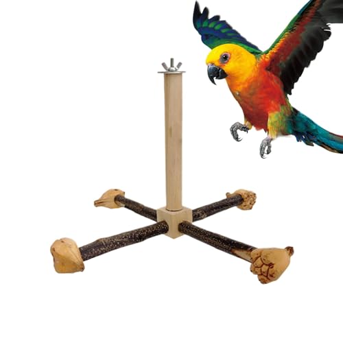 Bird Stand Perch Toy, Rotating Climbing Perch, Wooden Papagei Swing Play Gym, Sturdy Safe Design, Ermutigt Übungen, Spaß, für Parakeets, Lovebirds Conures 25 x 24 x 24 x 23 cm von Générique