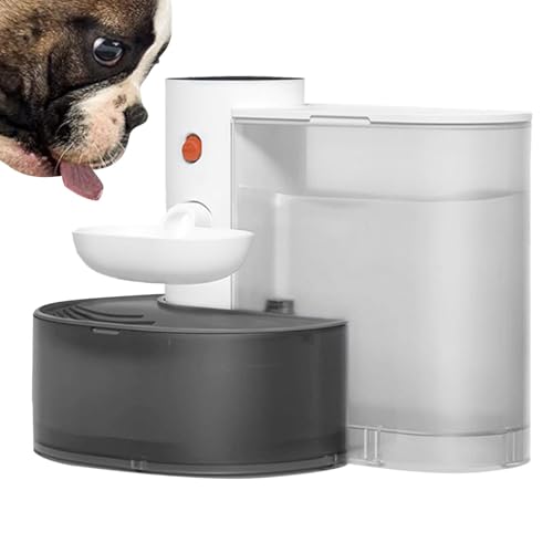 Cat Water Dispenser, Automatic Pouring Futterspender, 3 l, große Kapazität, wiederaufladbar, 2000 mAh, leise und spritzwassergeschützt, (33 x 23,5 x 25 cm, 2300 g), perfekt für Innenräume und kleine von Générique