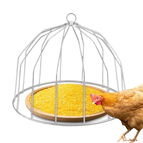 Chicken Feederkäfig, No-Clutter Duck Feeder, 40 x 40 x 40 cm, vielseitiges tragbares Design, Easy-Clean Farm Accessory, Feeding Tray Guard für Zuhause, Farm Use von Générique