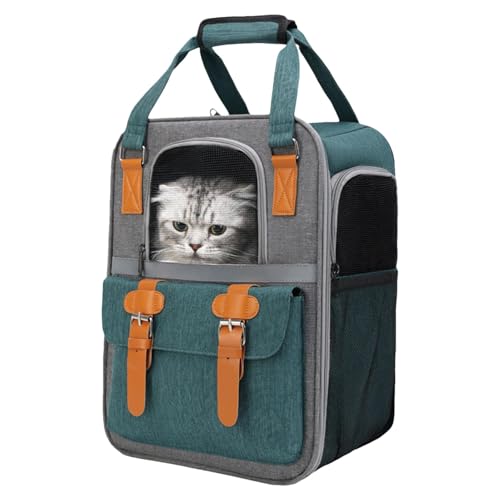 Faltbarer Katzen-Rucksack, Travel Foldable, Mesh Breathable Pet Carrier, 30 x 21 x 40 cm, Ideal für Reisen, Wandern, Camping, Walking, Outdoor Abenteuer mit Pets von Générique