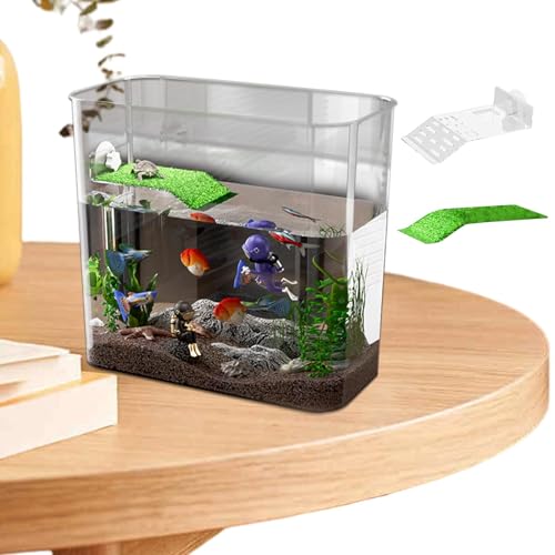 Fischtank für Betta Fish, Clear Desk Aquarium, Turtle Starter Tank 12,2 x 11,02 Zoll, kompakt und stilvoll, dekoratives Design, Fischschale für Zuhause, Wohnzimmer von Générique