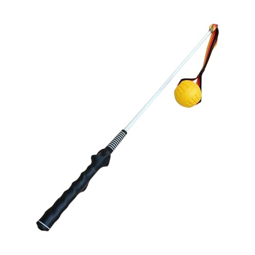 Flirt Pole Übungs-Spielzeug für Hunde, Trainingswerkzeug für Haustiere | Toy Dogs High Energy, Tug Pole Toy Rassen, mittelgroße große Rassen, Welpentraining Kauseil, Spielzeug P Flirt Pole Übungs-Spielzeug für Hunde, Trainingswerkzeug für Haustiere | Toy Dogs High Energy, Tug Pole Toy Rassen, mittelgroße große Rassen, Welpentraining Kauseil, Spielzeug P von Générique