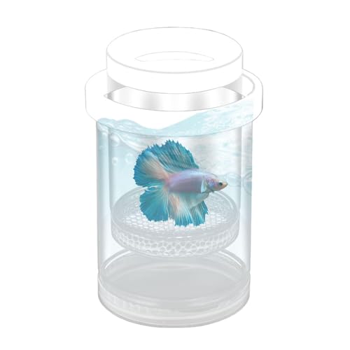 Floating Breeder Box für Aquarium, Clear Fish Incubation Tank, Betta Fry Separator & Hatching Kammer, Safe Nursery 5,63 x 3,66 Zoll für Shrimp Guppy Small Fish von Générique