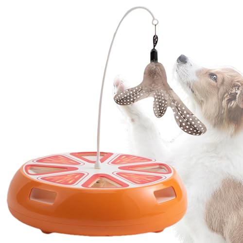 Générique Cat Spinner Toy, Interaktives Katzenspielzeug, Kitten Übungsspielzeug, interaktives Katzenspielzeug, Smart Cat Übungsspielzeug für drinnen und Spielen von Générique