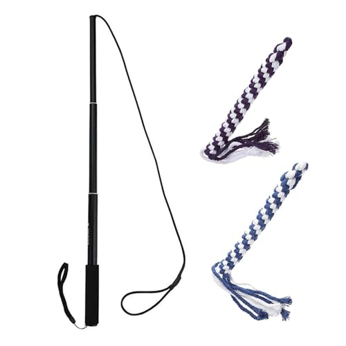 Générique Flirt Pole – Flirt Pole für Hunde | Teaser Wand für Hunde | Hunde und Tug of War | Hunde Teat Teaser Ball Outdoor | Flirt für Hunde | Flirtstange für Tiere von Générique