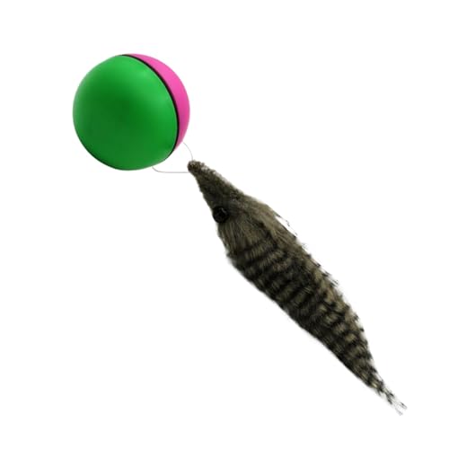 Générique Interaktiver Katzenspielzeug, automatischer Rolling Smart Pet Plaything, 22 x 9,9 cm, Nutria Kitten Ball, batteriebetrieben, selbstfahrendes Chasing-Spielzeug für Training, Spielzeit, von Générique